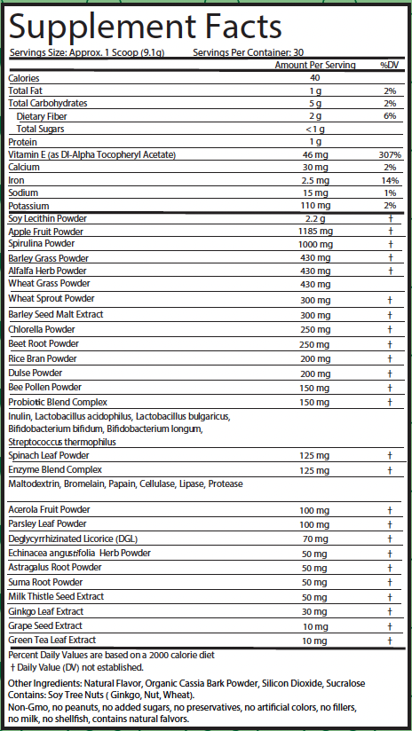 Superfood Greens-Apple Cinnamon Turnover